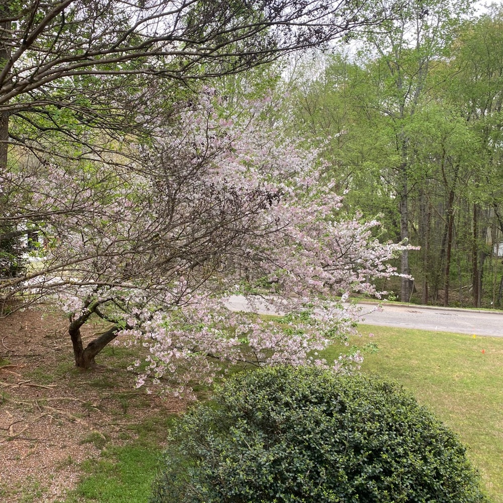 Meet your Posher, Tai